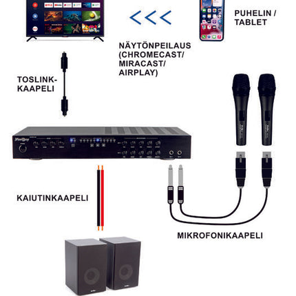 MadBoy BOOST-102 Digital Karaoke Mixing Amplifier with Optical Input