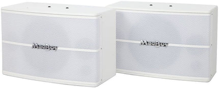 MadBoy SCREAMER-410 10" Passive Karaoke Speakers 2 x 200 W