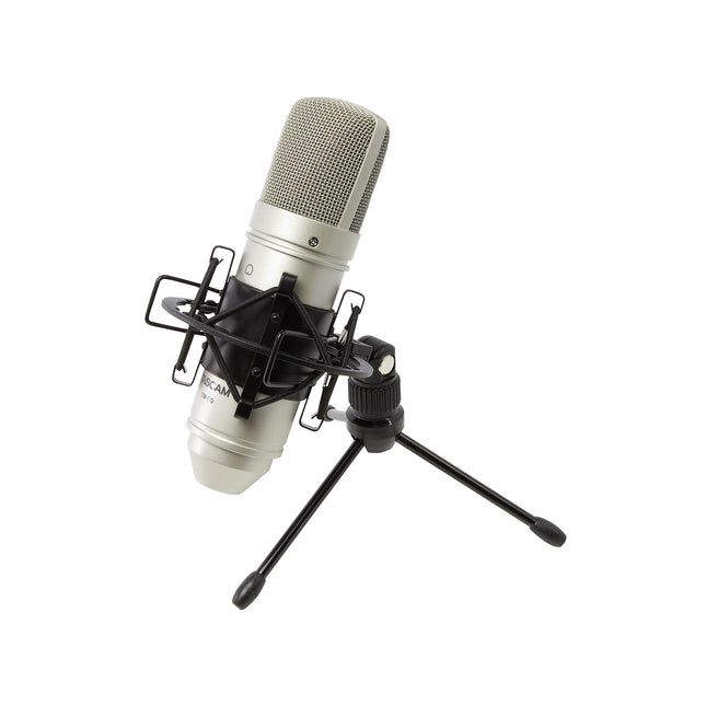 TASCAM TM-80 Condenser Microphone for Home Recording